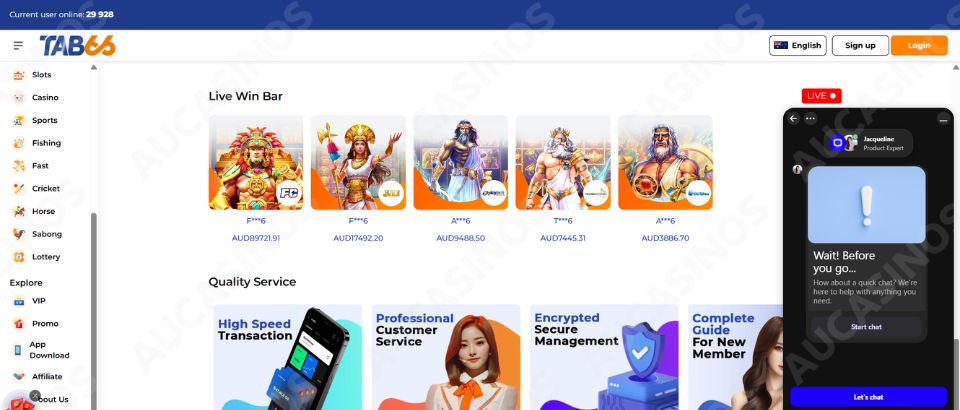 TAB66 live chat support window
